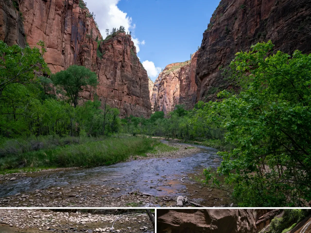 This city is exploring an unconventional solution to water scarcity: sewage 4 Before reaching the residents of St. George, the Virgin River runs through Zion National Park, attracting diverse wildlife and millions of tourists each year.