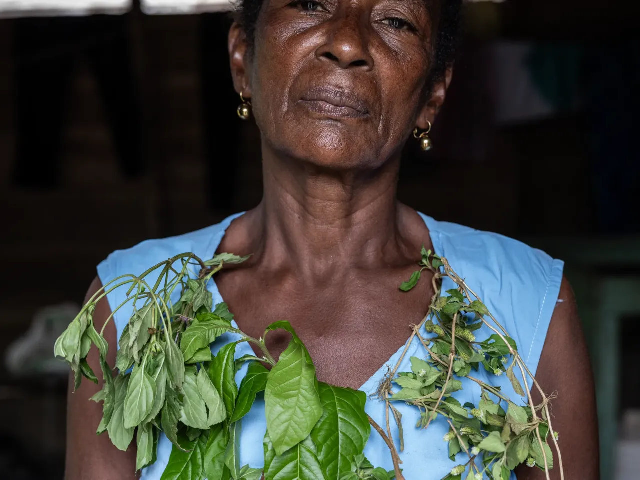 Photos: How torn pictures and trusted herbs create healing in Colombia 1 "I cure the 'evil eye,' the evil of the nation," says Margarita Rojas Mena, a healer and herbalist. "When there are wounds, I use my herbs, and sometimes I've had to do sutures." Here she is wearing a wreath composed of the leaves of the totumo plant, used traditionally to reduce pain from cramps and from childbirth.
