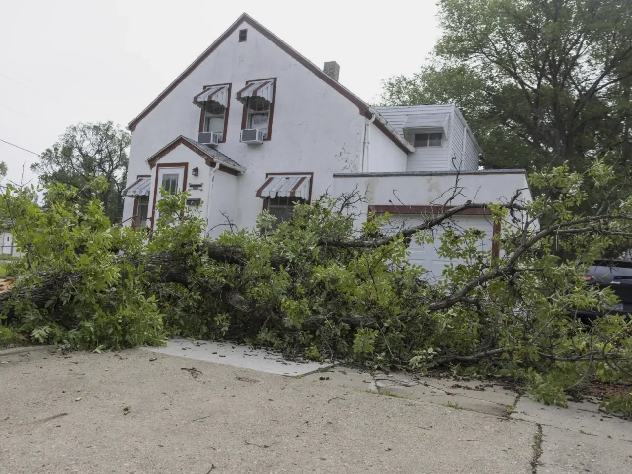 Severe storms struck Bismarck, N.D., and other areas of the state early on Saturday, leaving at least three dead.