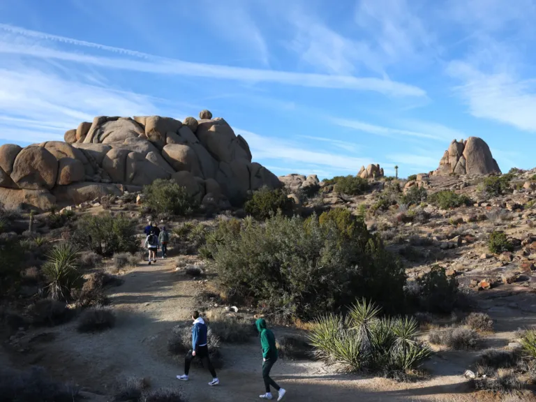 As visitors flock to parks, deep cuts leave rangers and wildlife at risk