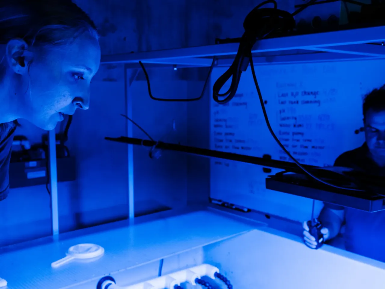 Inside the evolution of Biosphere 2, from '90s punchline to scientific playground 11 Lia Crocker looks at coral samples in the ocean ecosystem at Biosphere 2 on June 20, 2025, in Oracle, Ariz.