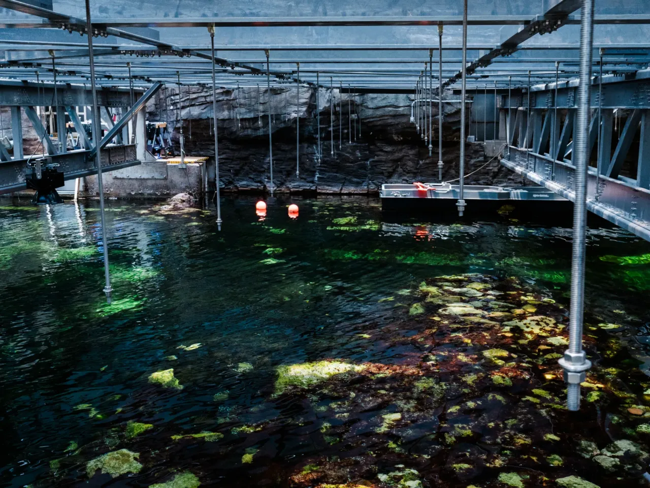 Inside the evolution of Biosphere 2, from '90s punchline to scientific playground 17 The ocean ecosystem at Biosphere 2 on June 20, 2025, in Oracle, Ariz.