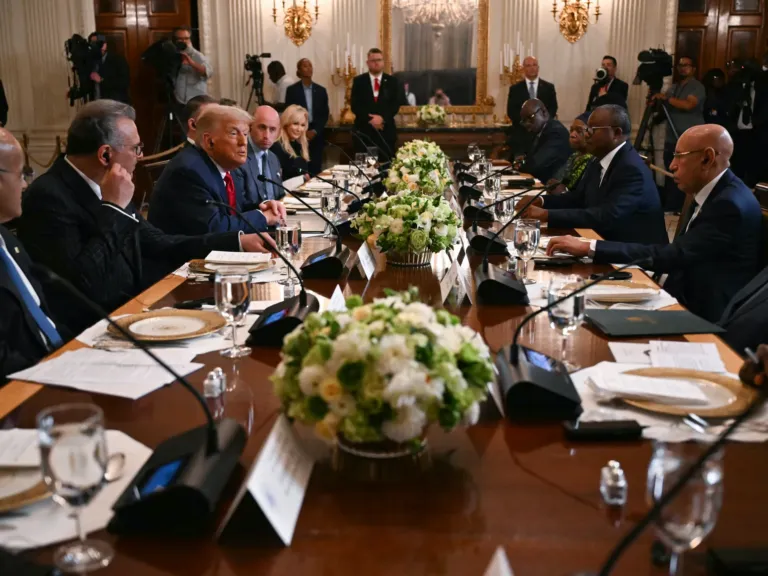 Trump courts African leaders at White House