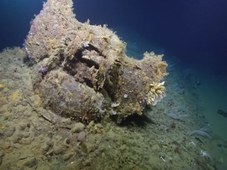 Historic World War II ship found in the Pacific Ocean
