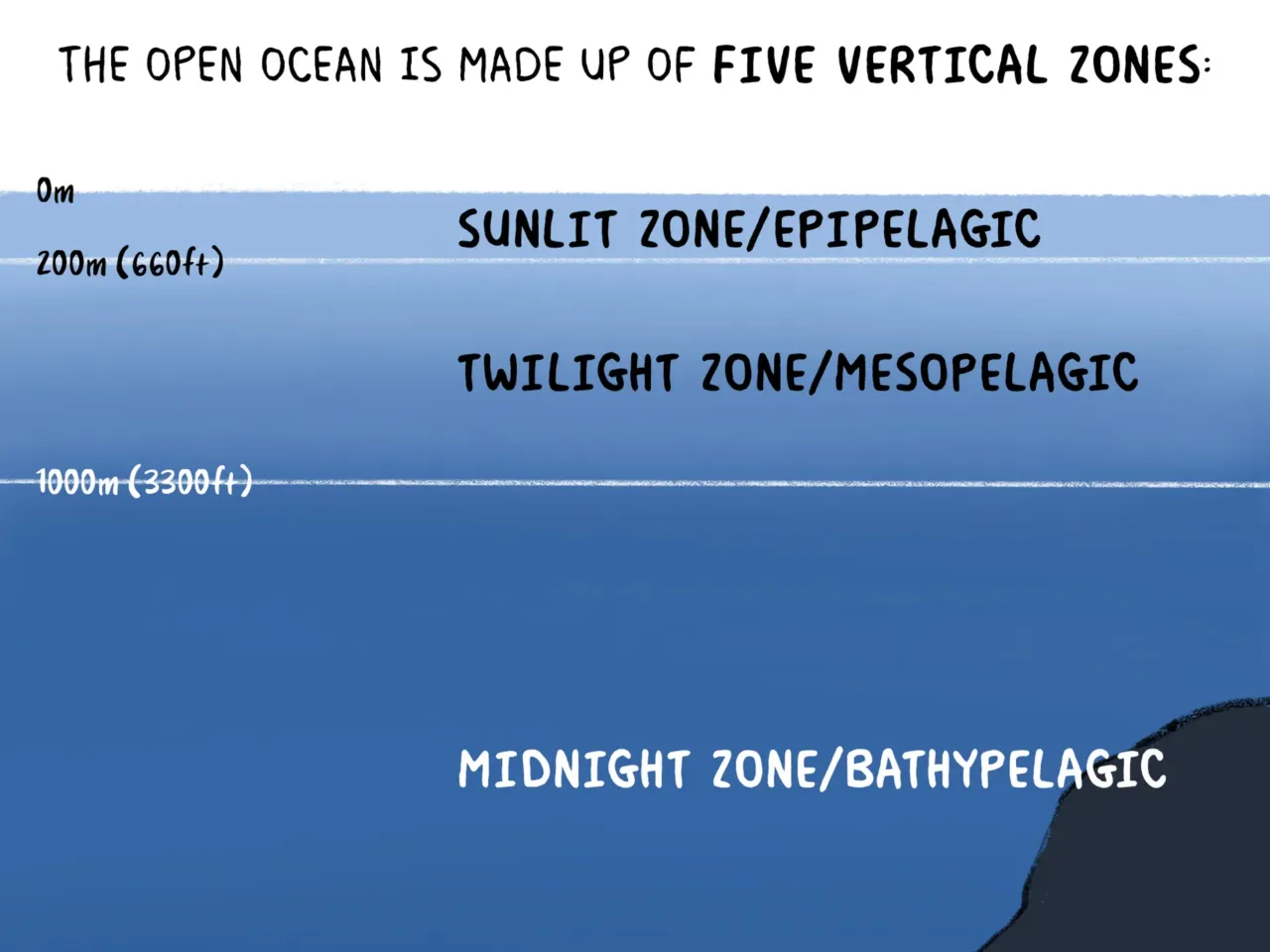 COMIC: Exploring the ocean's wonderous, mysterious depths 2 162100 nprshortwave oceanzonescomic 2