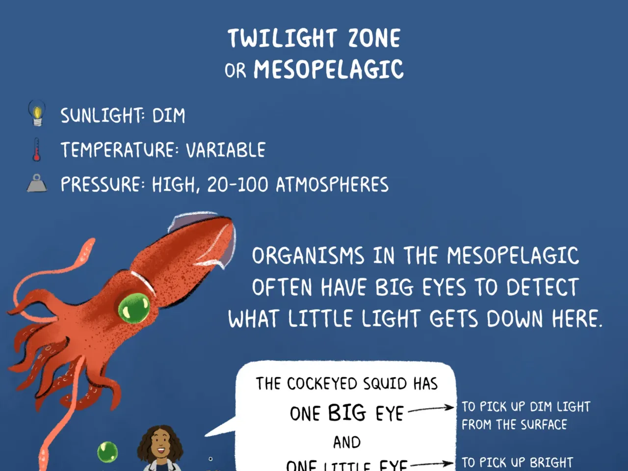 COMIC: Exploring the ocean's wonderous, mysterious depths 5 162103 nprshortwave oceanzonescomic 5