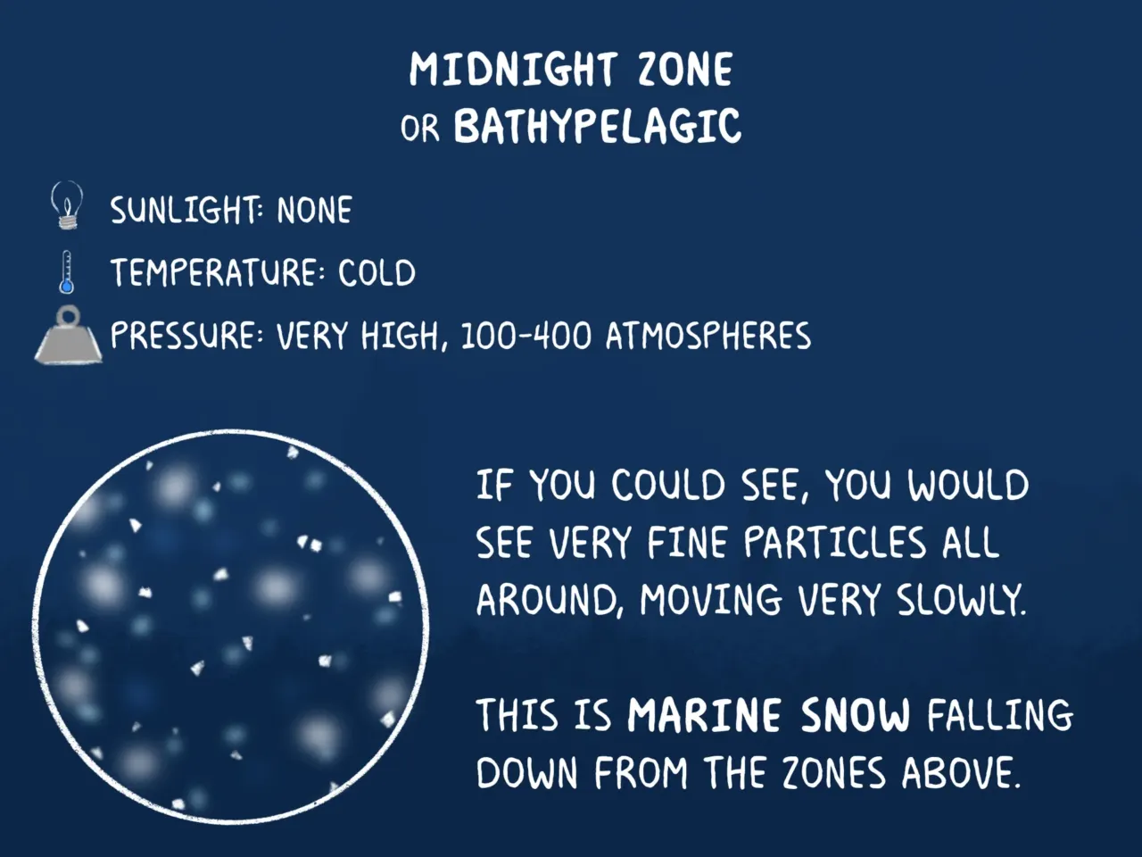 COMIC: Exploring the ocean's wonderous, mysterious depths 7 162105 nprshortwave oceanzonescomic 7