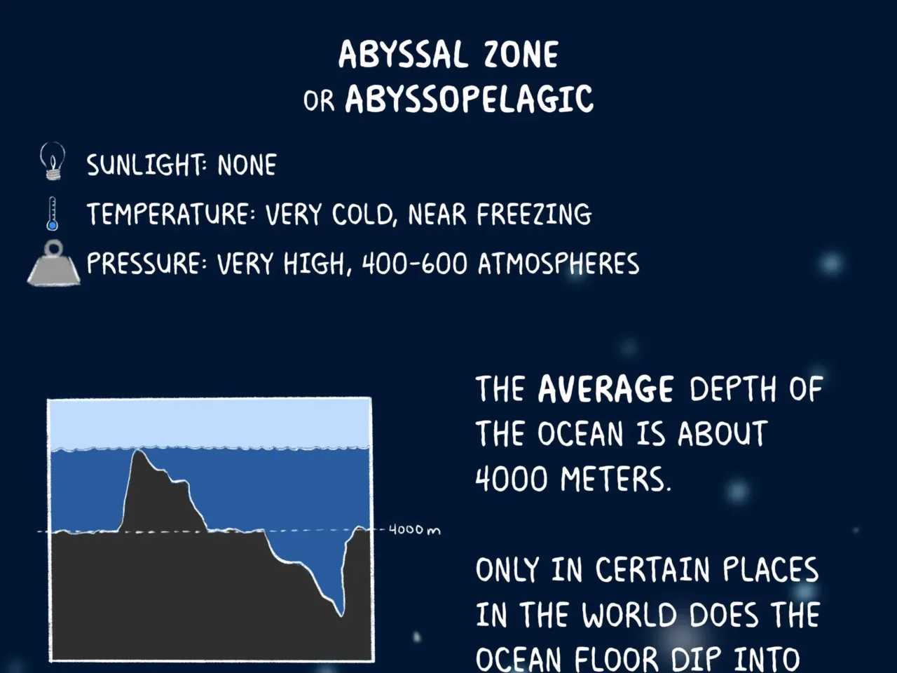 COMIC: Exploring the ocean's wonderous, mysterious depths 9 162107 nprshortwave oceanzonescomic 9