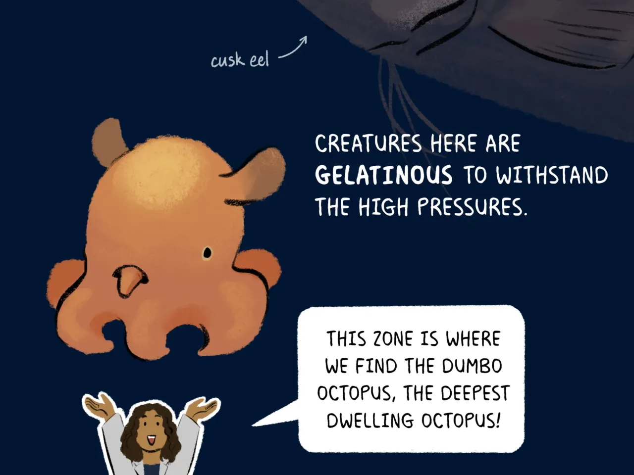 COMIC: Exploring the ocean's wonderous, mysterious depths 10 162108 nprshortwave oceanzonescomic 10
