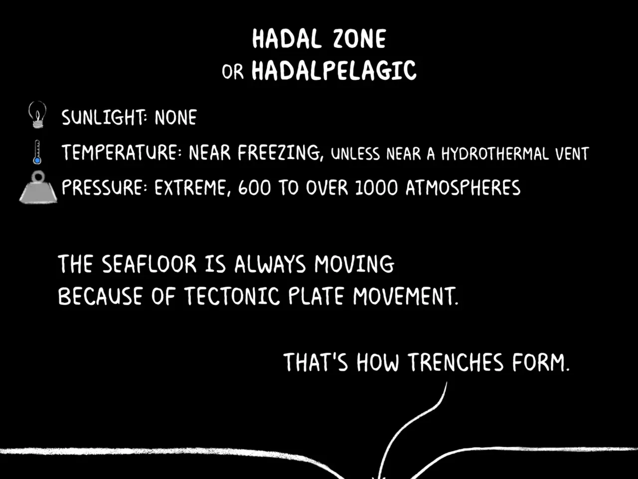 COMIC: Exploring the ocean's wonderous, mysterious depths 11 162109 nprshortwave oceanzonescomic 11