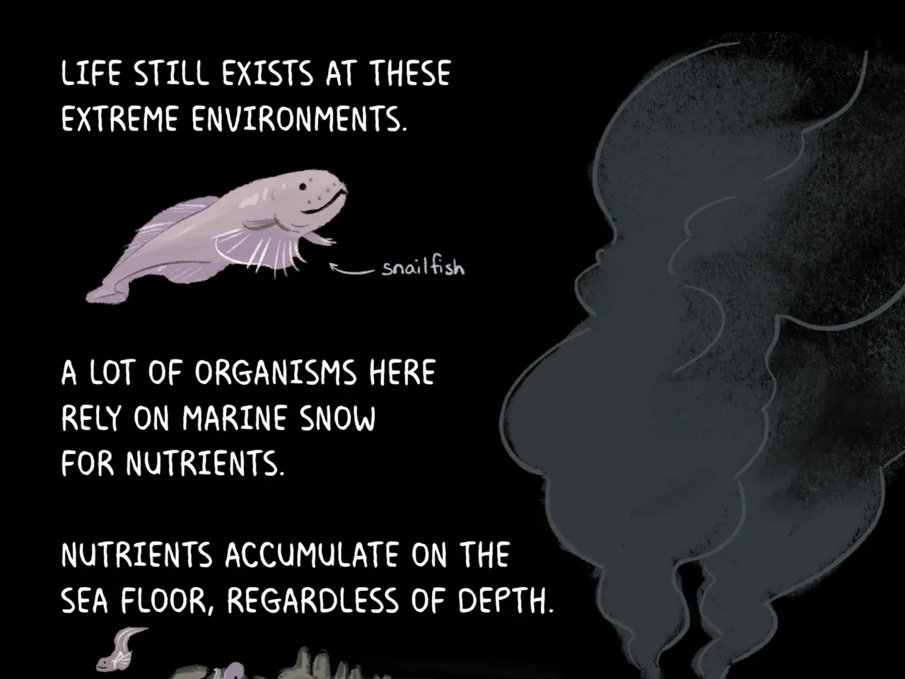 COMIC: Exploring the ocean's wonderous, mysterious depths 12 162110 nprshortwave oceanzonescomic 12