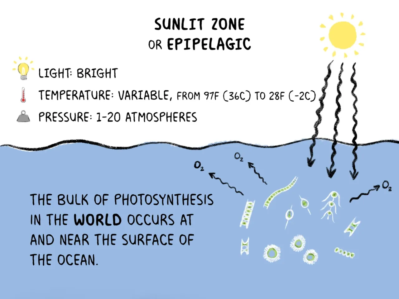 COMIC: Exploring the ocean's wonderous, mysterious depths 3 163148 nprshortwave oceanzonescomic 3 edit