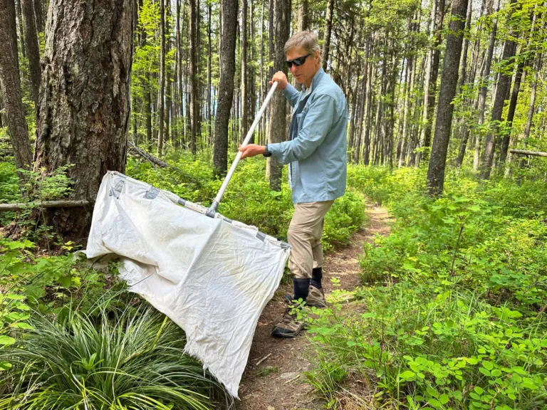 Ticks are migrating, but scant surveillance may leave doctors in the dark on patient treatment