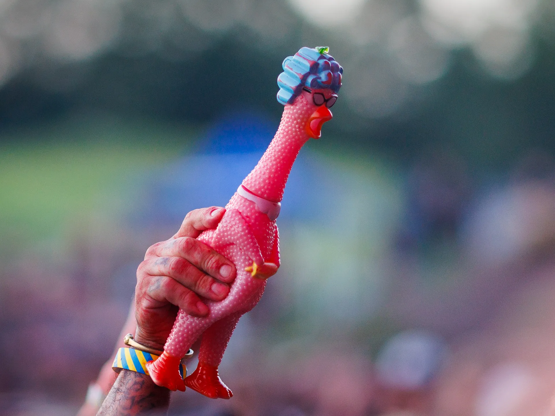 Joy and happiness radiate when GWAR and Lamb of God return to Richmond 37 A pink rubber chicken is seen being held up in the crowd during GWAR's performance at Allianz Amphitheater.