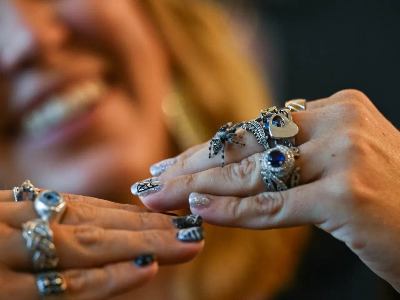 Heather Mulligan holds one of her jumping spiders in Surprise, Arizona, on Sept. 15, 2025.