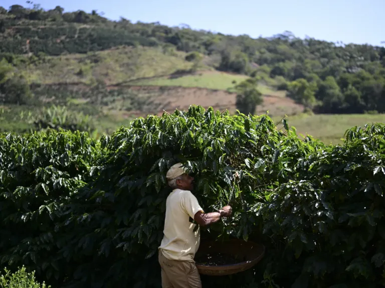 Change is brewing in the coffee industry. What lies ahead?