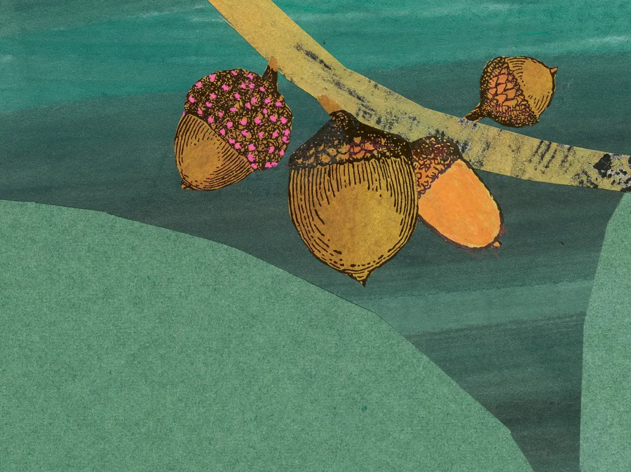 Letter poems to friends — of all kinds — in 'Dear Acorn, (Love, Oak)' 4 169039 dearacorn int dearoak