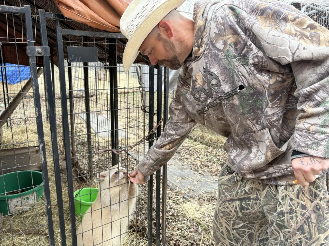 Millions of soon-to-be uninsured Americans are looking for a 'plan B' 1 Robert Sory feeds a blind racoon a treat before the evening meal.