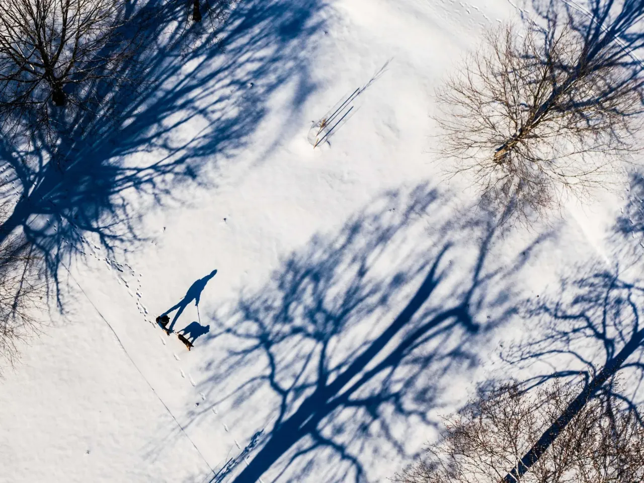 2025: The images that stayed with us 22 John Leino walks his dog, Poika, on Jan. 7 at Byrd Park in Richmond, Va.