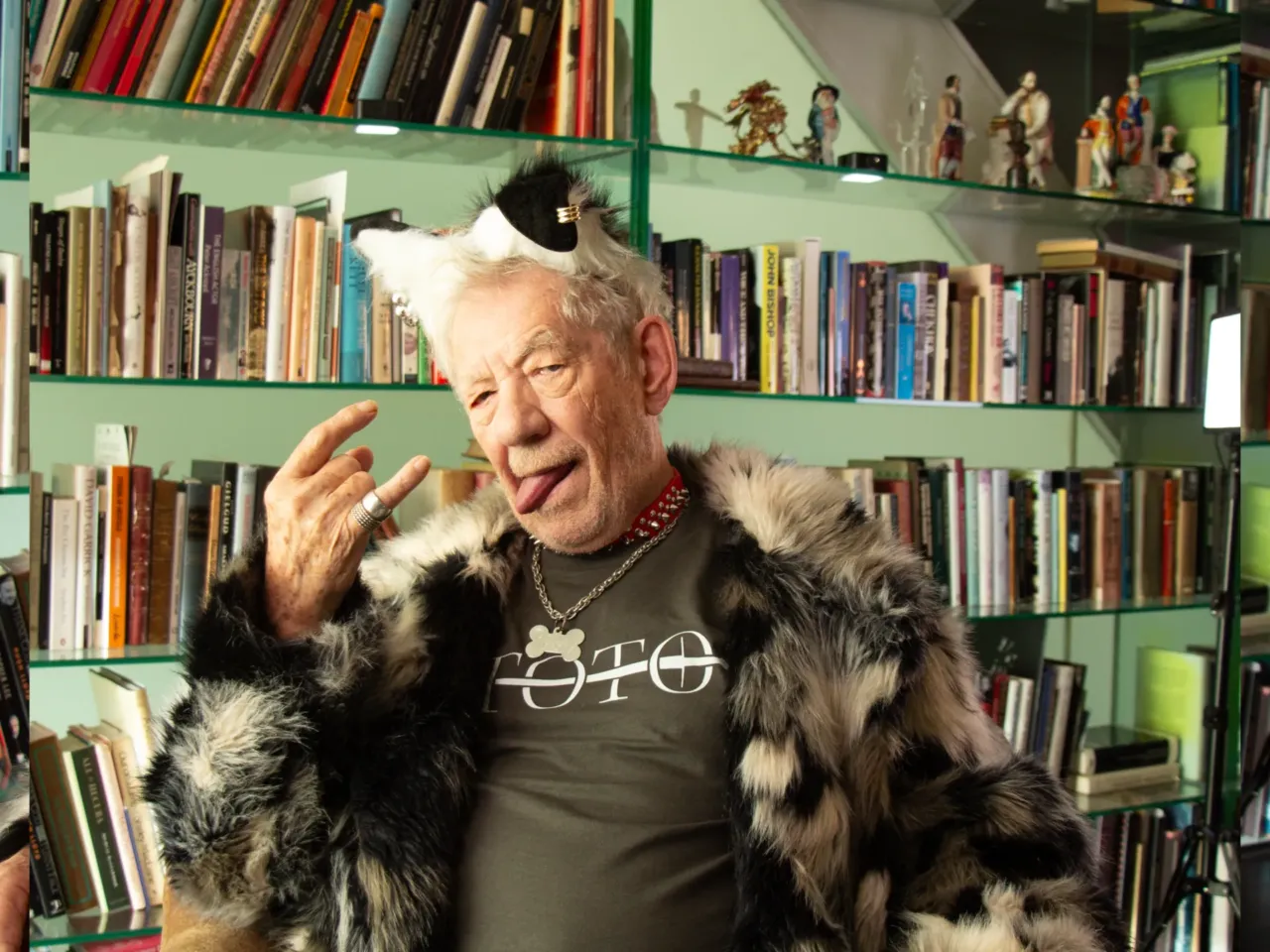 'It's behind you!' How Britain goes wild for pantomimes during the holidays 1 Actor Sir Ian McKellen playng Toto the Dog in a video clip for the Wicked Witches pantomime.