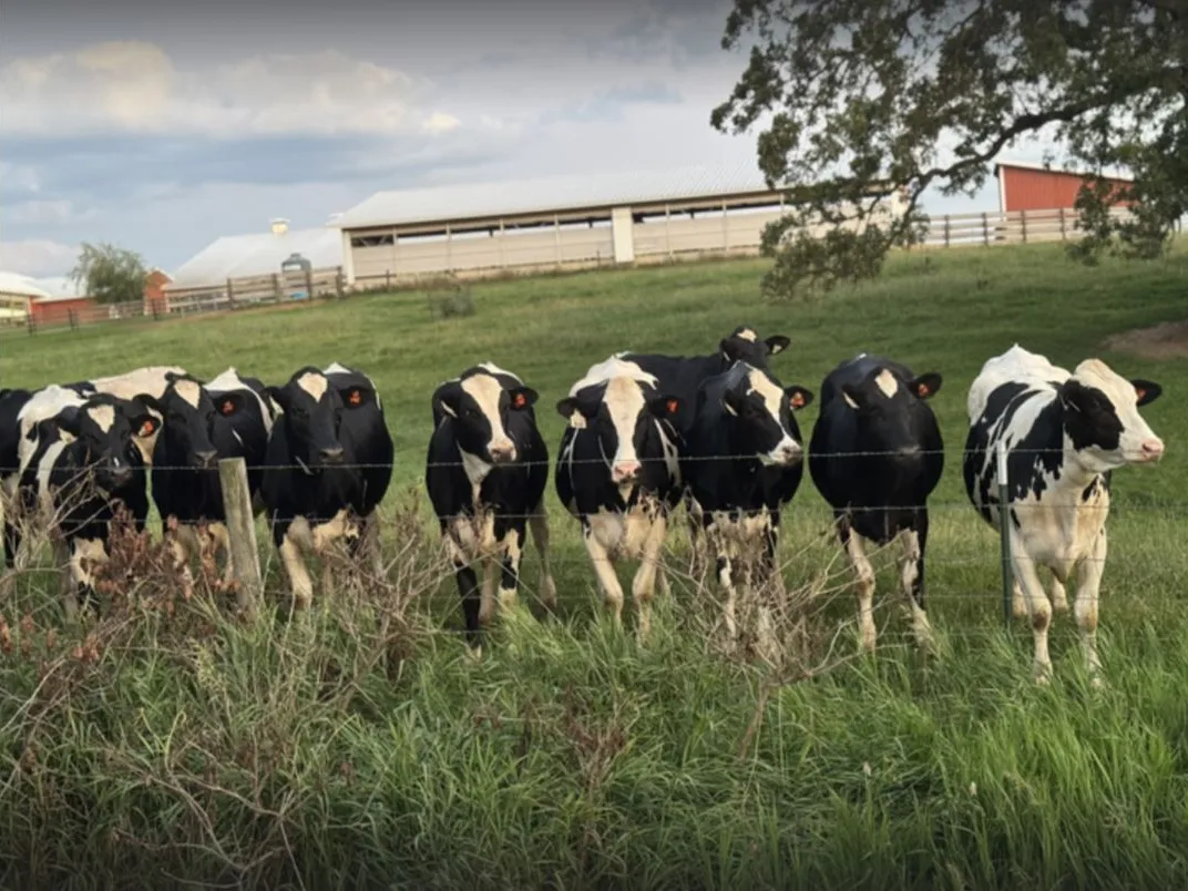 Prairie Star Farm has been in Meghan Palmer's family for three generations. She hopes that one day one of her kids will want to take over operations, but it's getting harder for a farm to be profitable.