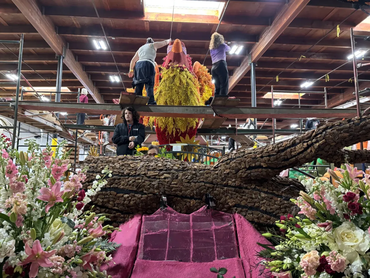 Volunteers work on the top of the "Rising Together" float's centerpiece phoenix, which symbolizes the community's recovery after last year's deadly Eaton and Palisades Fires in Los Angeles. Every inch of the float must be decorated with only natural organic materials like bark, flowers and seeds.
