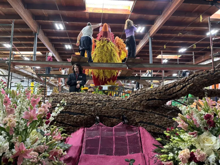 Rising from the ashes, a symbol of hope at the Rose Parade