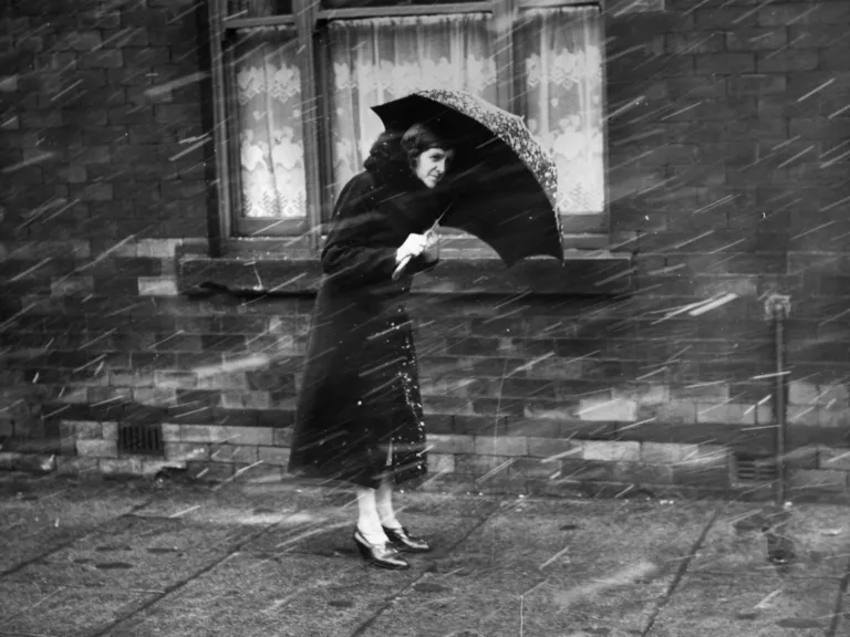 A wintry mix: 12 reading recommendations to get you through the storm