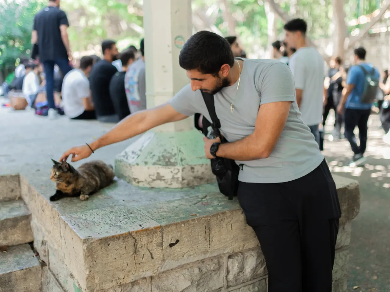 In Beirut, Lebanon's cats of war find peace on university campus 7 For Joe Nouaime, an engineering student, cats are a colorful addition to campus of the American University of Beirut.