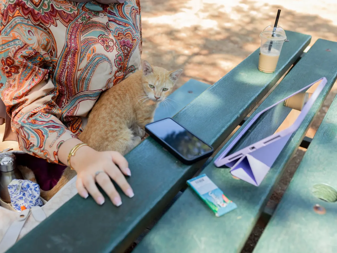 In Beirut, Lebanon's cats of war find peace on university campus 9 Most of the Beirut campus cats are not as bold as this one, but they tend to know which students like them.