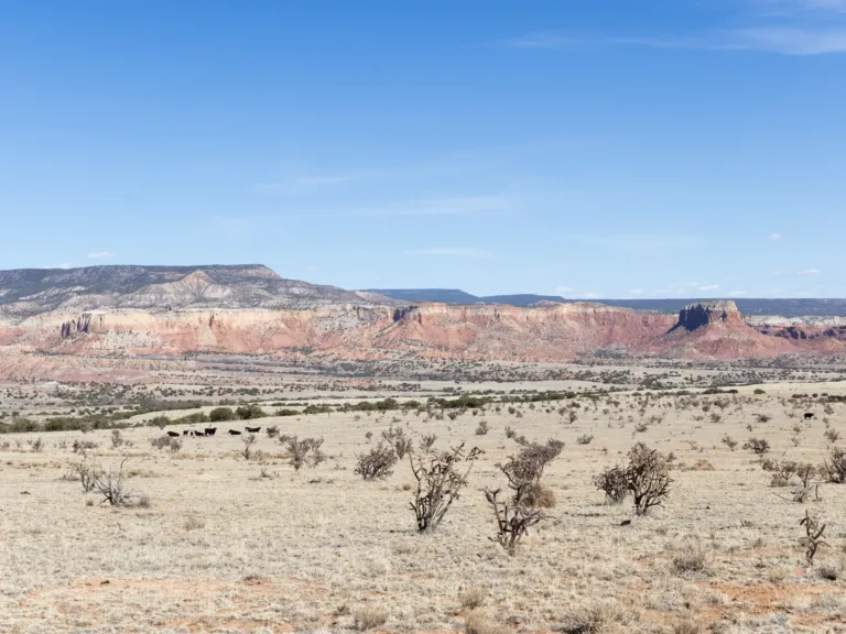 Reframing Georgia O’Keeffe’s legacy and protecting the land she loved