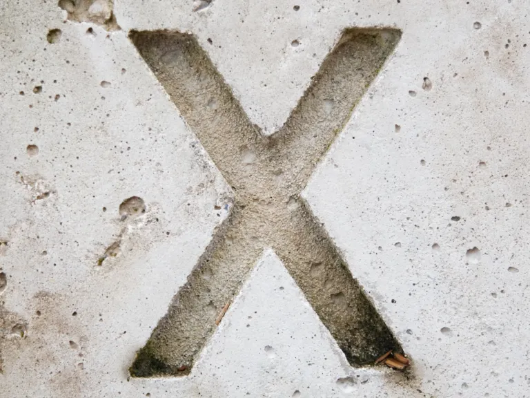 From Descartes to punk rock, the letter X has an extraordinary history