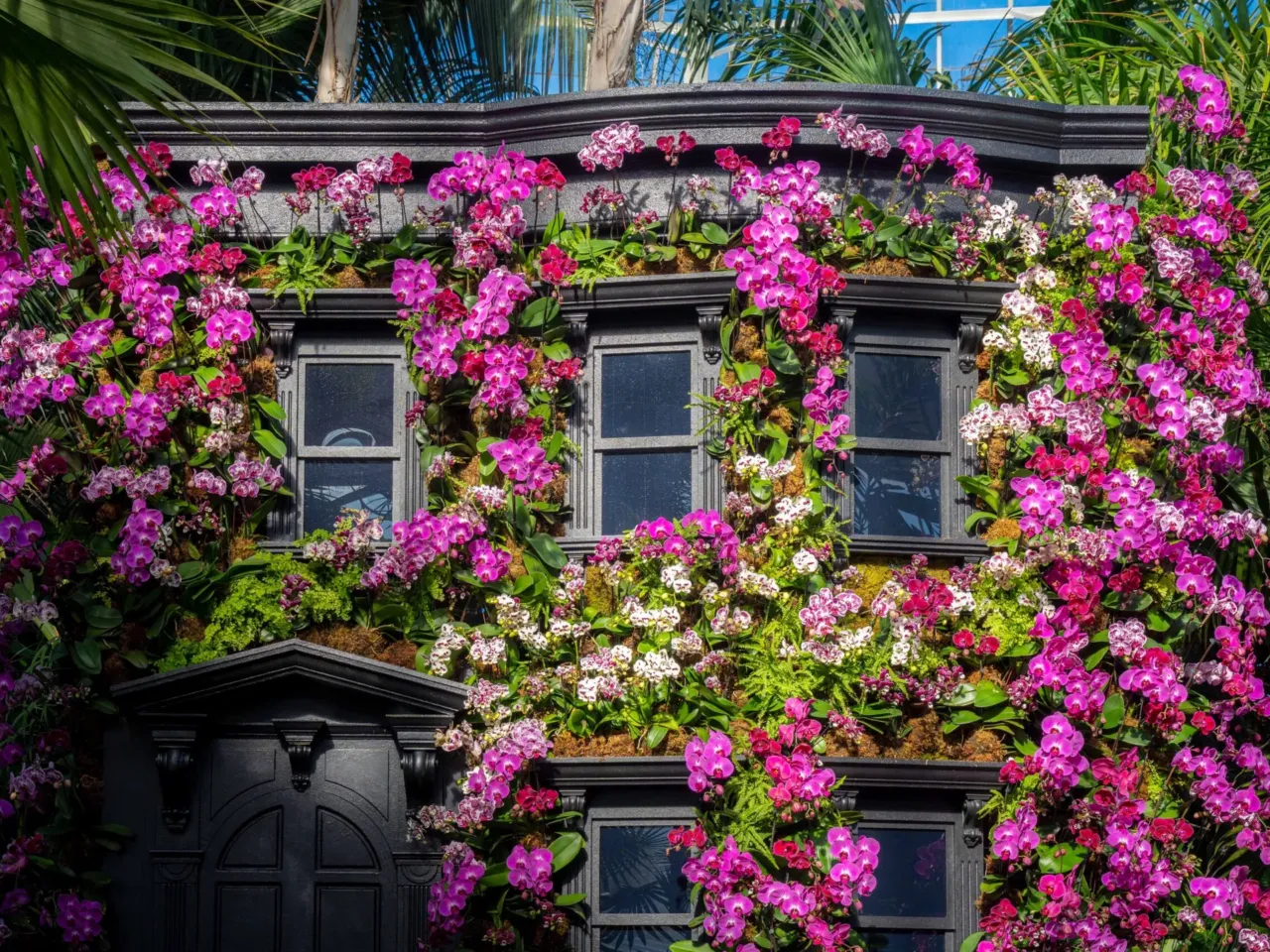 A mysterious floral artist brings beauty to fire escapes — and dumpsters 6 This typical New York brownstone is painted matte-black and is surrounded by black water, to better reflect the flowers.