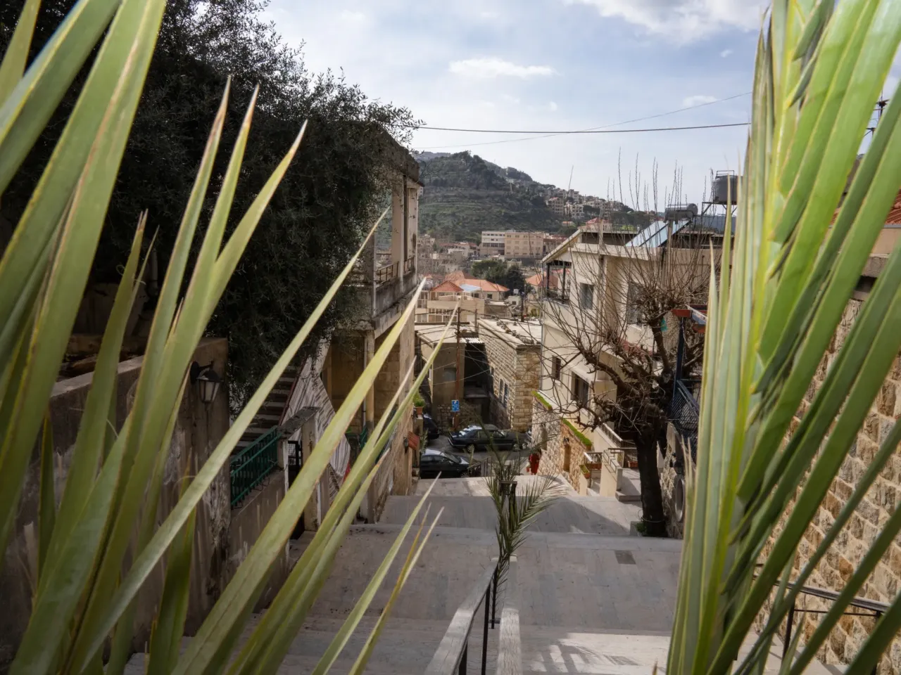 'Not our war' say Christians under siege this Easter, as Israel invades south Lebanon 4 Palms decorate the path to St. Maron.