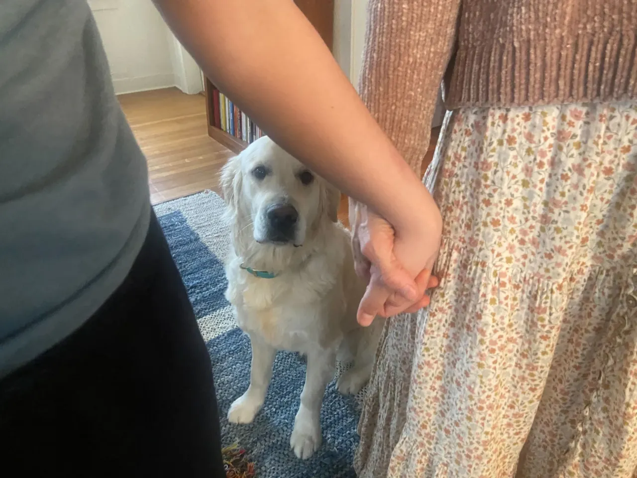 Families left reeling after hospitals in blue states drop transgender care for youth 3 J and her son, who uses the nickname Bug, holding hands at home in western Massachusetts, with their dog Cosmo in the background.