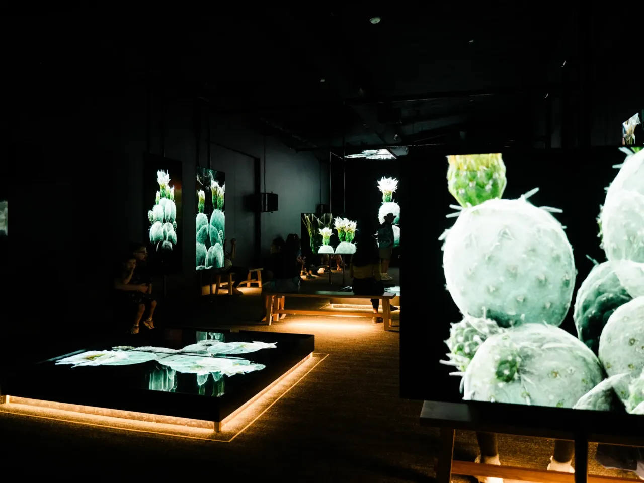 The Sonoran Desert teems with wildlife. These 3D scans could help protect its future 7 The RAF Exhibit Gallery hosts an immersive with mutliple screens showing FRAMERATE: Desert Pulse on April 14, 2026 at Desert Botanical Garden in Phoenix, Arizona.