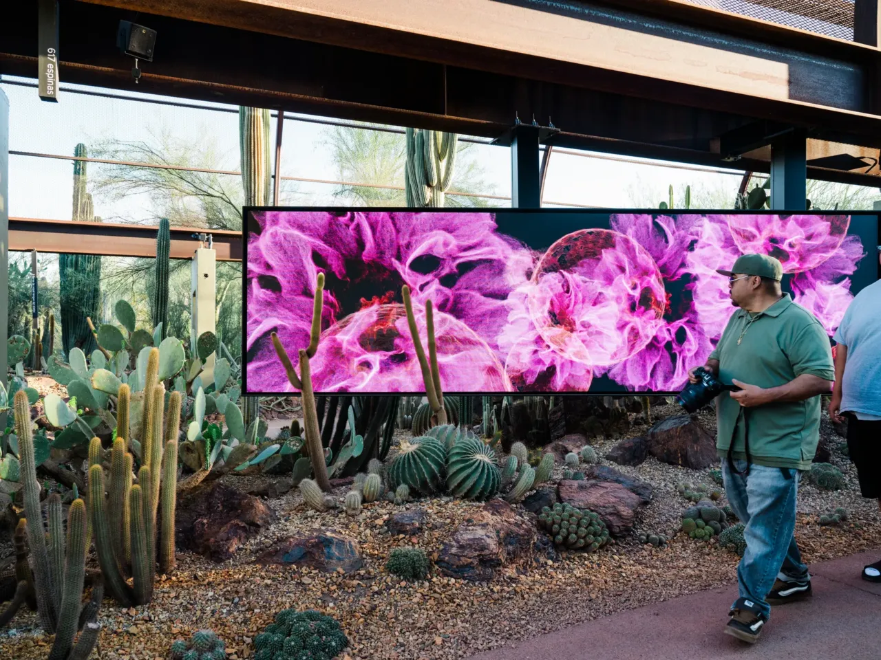 The Sonoran Desert teems with wildlife. These 3D scans could help protect its future 8 Visitors walk past Calyx from FRAMERATE: Desert Pulse, in which cactus blooms are captured on April 14, 2026 at Desert Botanical Garden in Phoenix, Arizona.