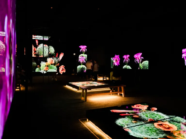 The Sonoran Desert teems with wildlife. These 3D scans could help protect its future