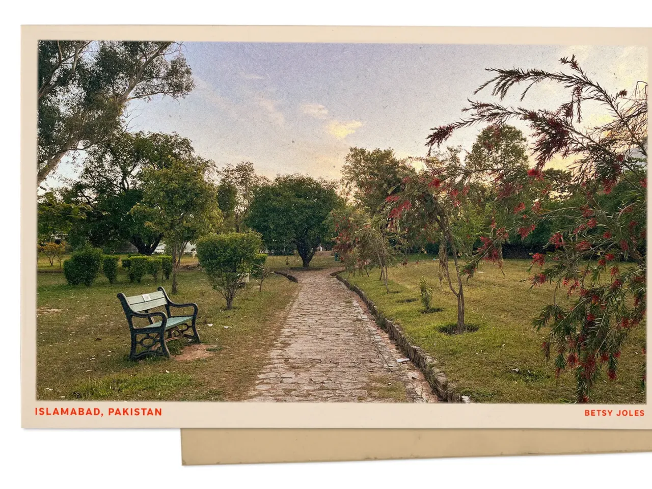Greetings from an Islamabad park, a peaceful vantage point in an uncertain world
