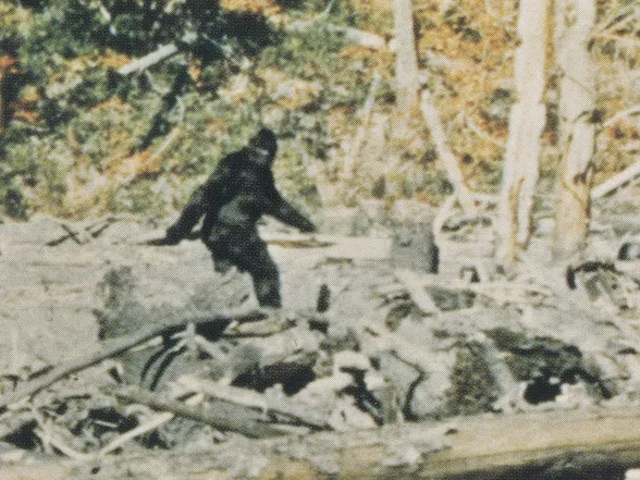 A slew of new Bigfoot sightings, on-screen and off-Broadway 1 A still from Marq Evans' 2026 documentary Capturing Bigfoot.