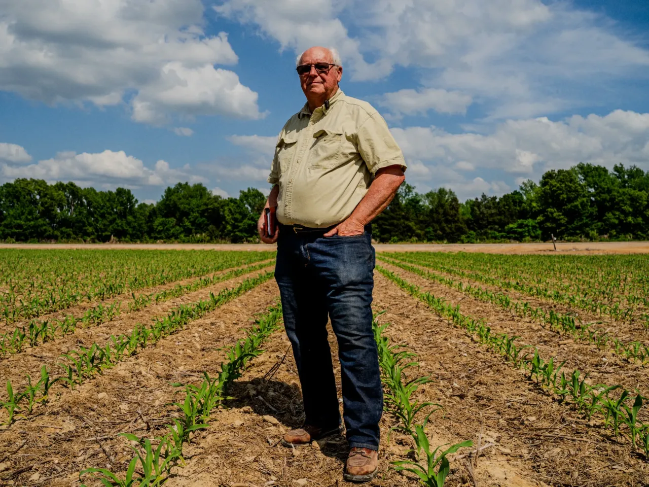 The rising cost of fertilizer and fuel prices is pushing some farmers to the brink 2 Sledge Taylor, 73, stands among the rows in one of his corn fields just outside Como, Mississippi on Friday, April 17, 2026. The corn stalks are currently between vegetative stages known as V3 and V5, normally when Taylor would be applying nitrogen fertilizer. But he said he may not do it this year because of the cost of fertilizer.