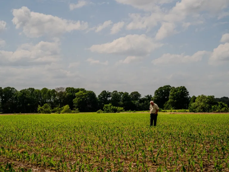 The rising cost of fertilizer and fuel prices is pushing some farmers to the brink
