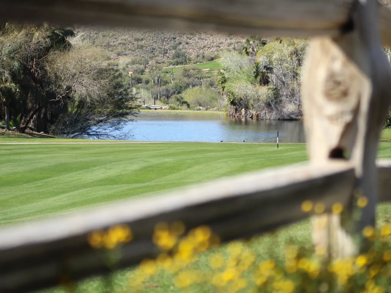 A pond sits on the Rancho Manana golf course in Cave Creek on Feb. 20, 2026. The town uses effluent from its water treatment plant to supply a portion of the golf club's water.