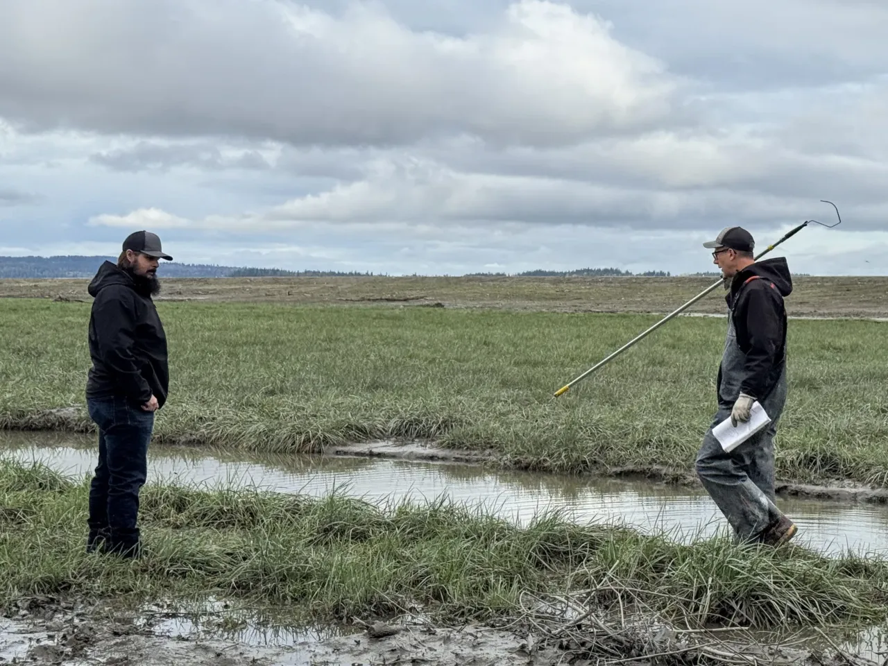 Stillaguamish Tribe officials Scott Boyd, left, and Jason Griffith, examine newly restored habitat at the mouth of the Stillaguamish River on Dec. 19, 2025.