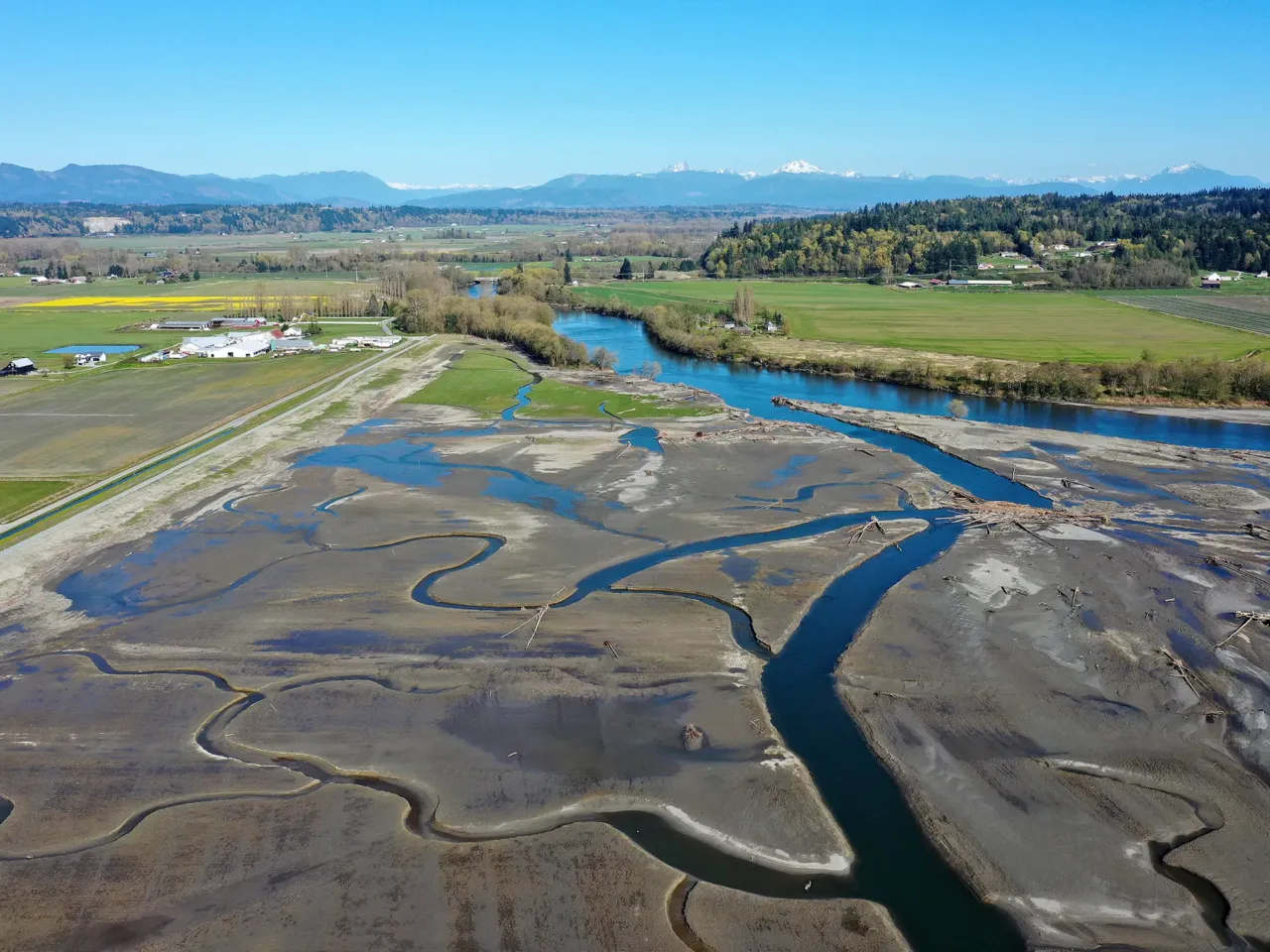 A new levee built by the Stillaguamish Tribe, left, separates farmland from newly restored wetlands at the mouth of the Stillaguamish River near Stanwood, Washington, on April 8, 2026.