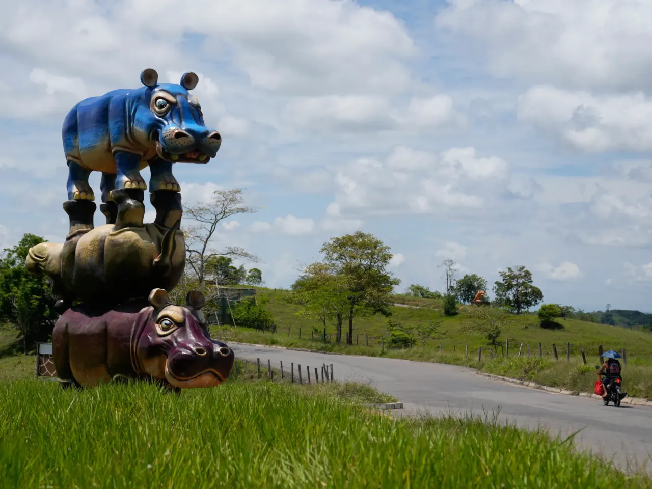 Colombia's rogue hippos could find refuge in India 1 A stack of three hippo statues stands at Hacienda Nápoles Park, once the private estate of drug kingpin Pablo Escobar, in Puerto Triunfo, Colombia.