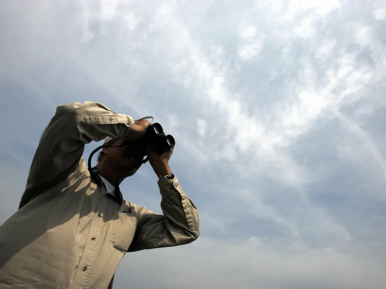 24 hours with 3 teenage birders: Welcome to the World Series of Birding 2 Pete Dunne uses binoculars during the World Series of Birding in an estuary in Cape May in 2007. He founded the event in 1984.