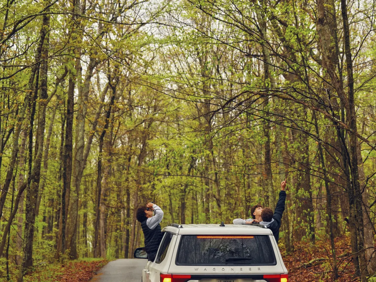 24 hours with 3 teenage birders: Welcome to the World Series of Birding 5 The teammates sit on the ledges of their SUV's rolled-down windows while looking for birds at High Point State Park.