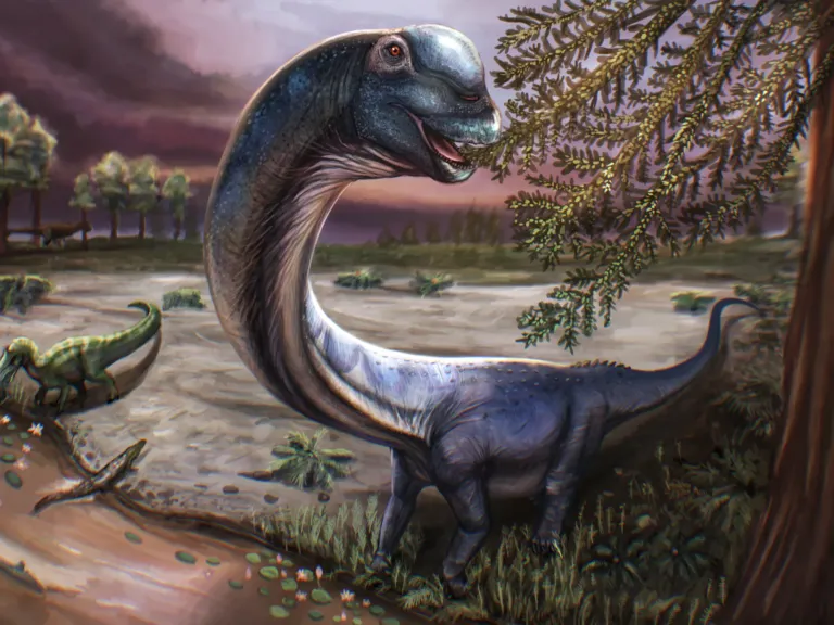 Researchers unearth Southeast Asia’s largest dinosaur