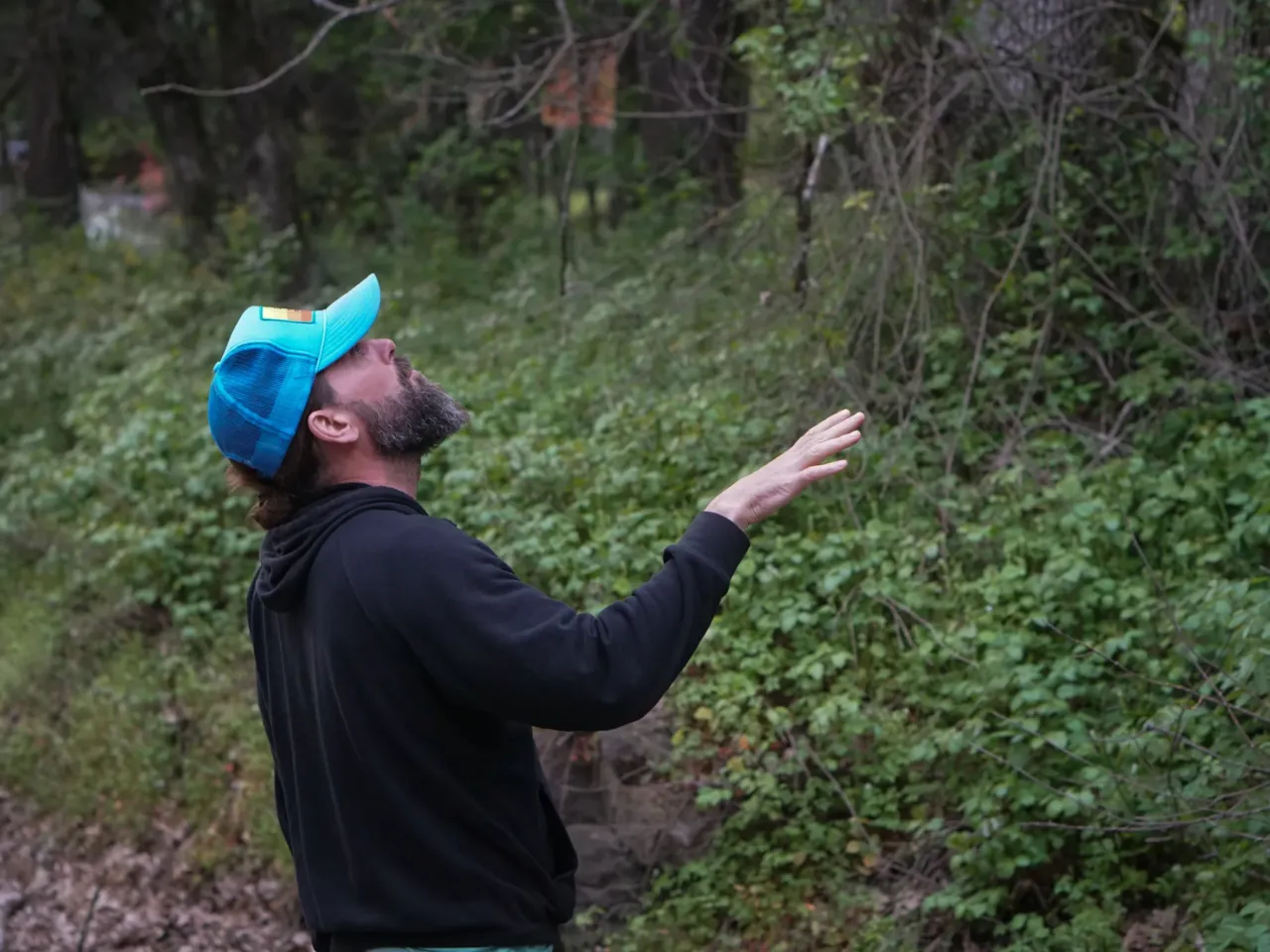 New burn bans and Trump's battle with immigration and DEI are impacting forest fires 5 Lieberg points out areas that could benefit from a controlled burn.